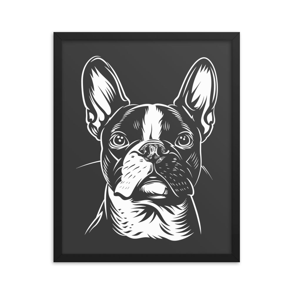 Boston Terrier Dog [00318] Poster mit Rahmen