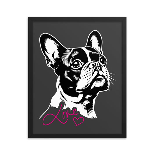 Boston Terrier Dog [00317] Poster mit Rahmen