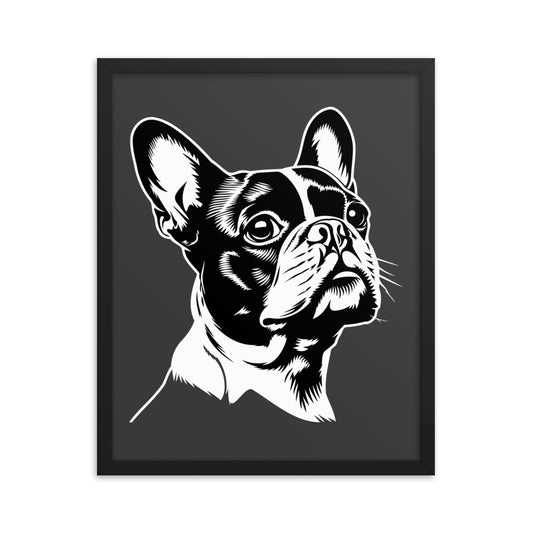 Boston Terrier Dog [00317] Gerahmtes Poster