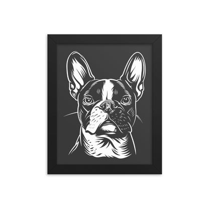 Boston Terrier Dog [00318] Poster mit Rahmen