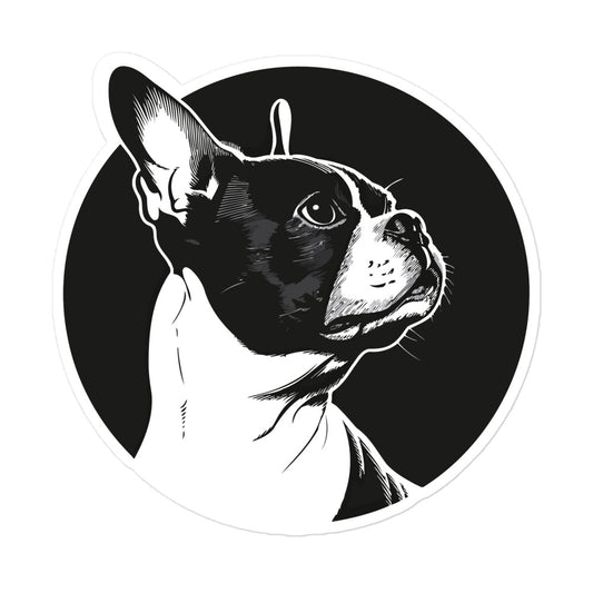 Boston Terrier Dog [00313] Sticker