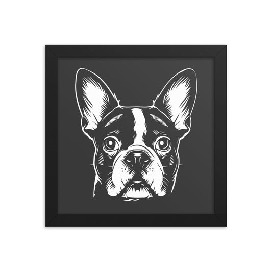 Boston Terrier Dog [00316] Poster mit Rahmen